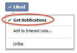 Facebook Get Notifications Tip