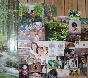 Inspiration Wall