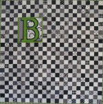 Personalize It! Checkerboard Quilt