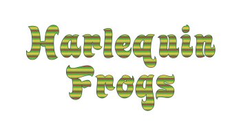 Harlequin Frogs Quilt Patterns
